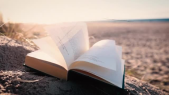 thumbnail of medium Book